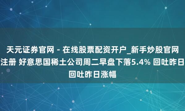天元证券官网 - 在线股票配资开户_新手炒股官网杠杆注册 好意思国稀土公司周二早盘下落5.4% 回吐昨日涨幅